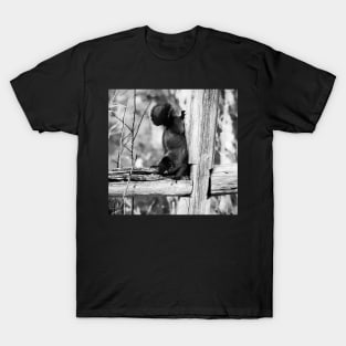 Searching for seeds. T-Shirt